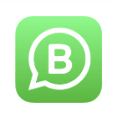 WhatsApp icon